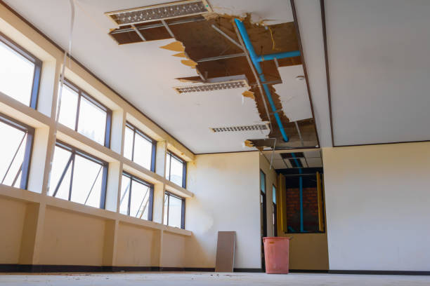 Best Water damage cleanup near me  in Lake Holm, WA