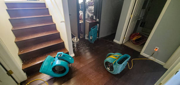 Best Professional water damage repair  in Lake Holm, WA