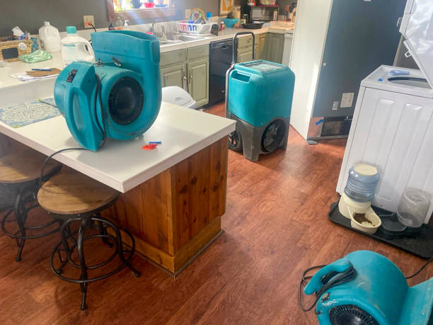 Best Residential water damage restoration  in Lake Holm, WA