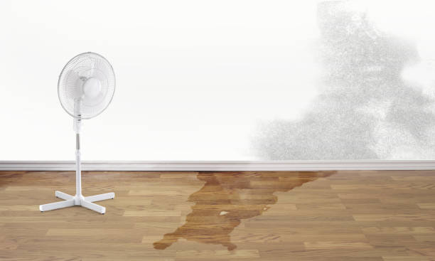 Best Water damage restoration near me  in Lake Holm, WA