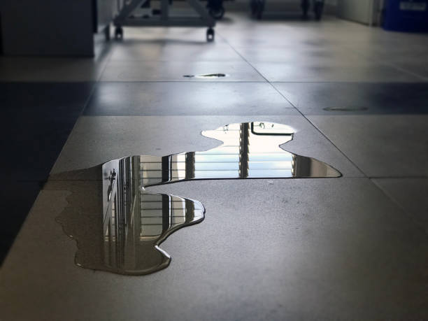Best Carpet water damage restoration  in Lake Holm, WA